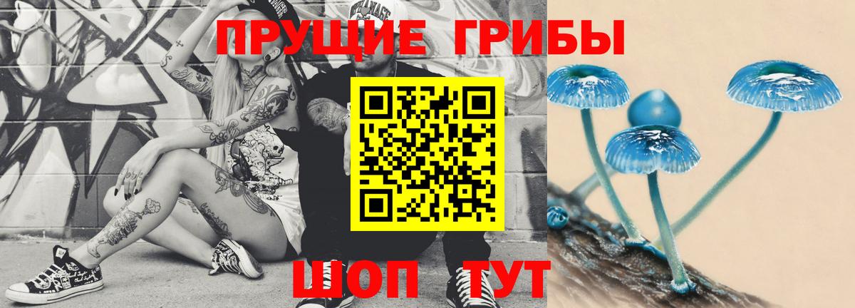 купить  цена  Псилоцибиновые грибы Magic Shrooms  Галлюциногенные грибы Cubensis  Вход с VPN  Петропавловск-Камчатский 