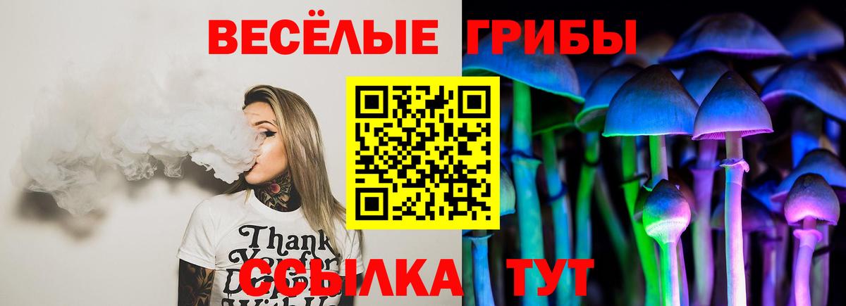 Галлюциногенные грибы MAGIC MUSHROOMS Петропавловск-Камчатский